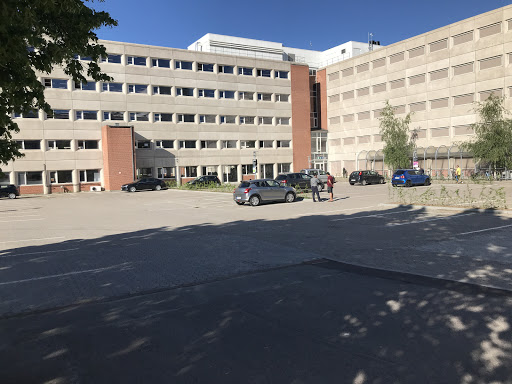 Sprog Skole