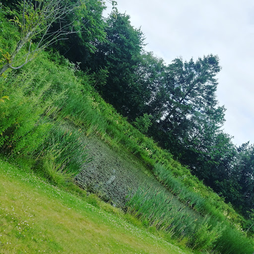 Vejlegårdsparken (Vejlesvinget)