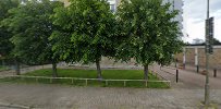 Astma &amp; Allergiföreningen