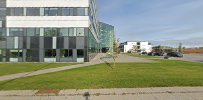 Dansk Studie Center