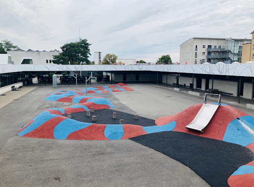 Dyveke School