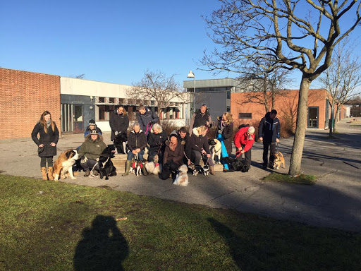 Egedal Hundetræning