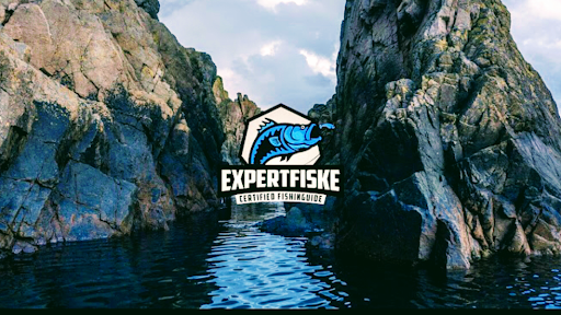 Expertfiske
