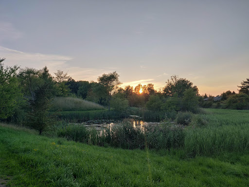 Fiskebroen