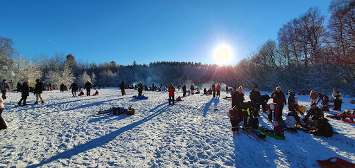 Frostavallens pulkabacke