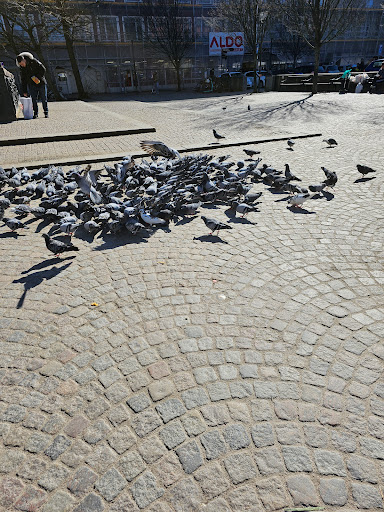 GA TORG Car park