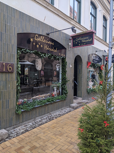 Gallerians Hårvård