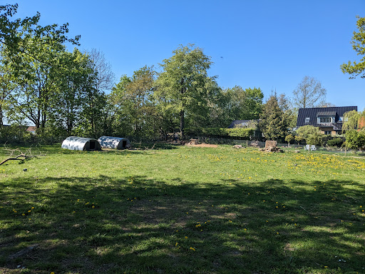 Jonstrup Gedelaug