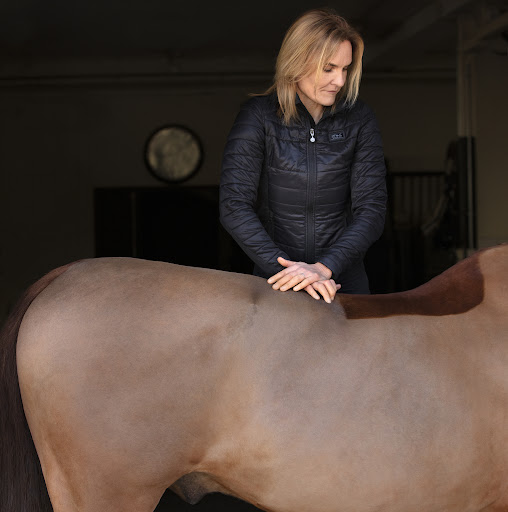 Katja Gustavsen Veterinär AB
