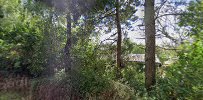Kattinge udsøgt udsigt