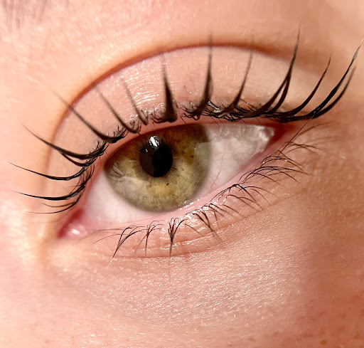 Lashesandbrowsnord