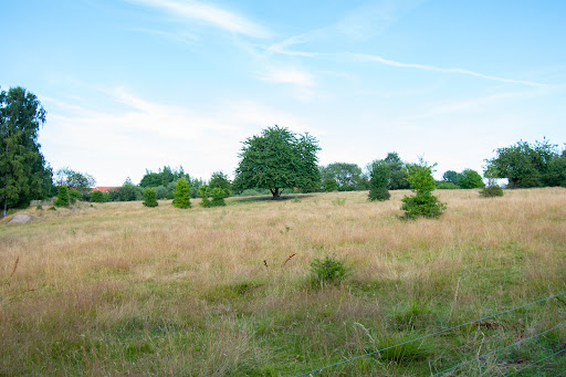 Lynge Bytorv Kilen