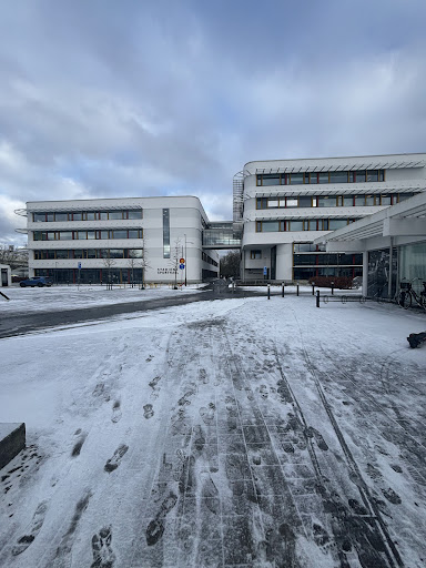 Malmö Idrottsgrundskola