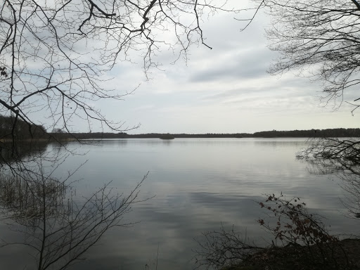 SILØFEB