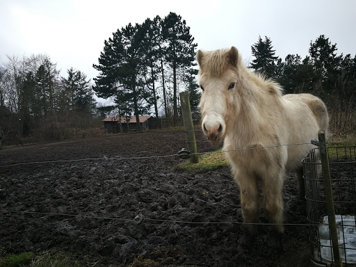 Skjoldbjerggård