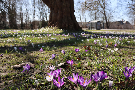 Skjoldborgparken