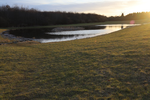 Sperrestrup Skov