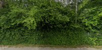 Stenurten