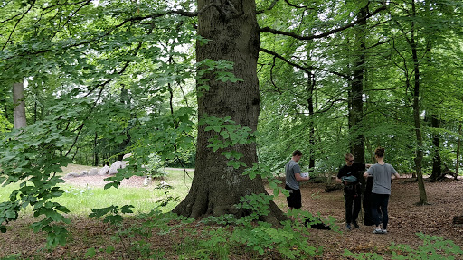"The sling" climbing tree