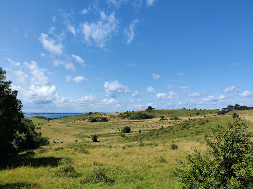 The Slopes of Glumslöv and the Valleys of Hilleshög - Glumslövs backar