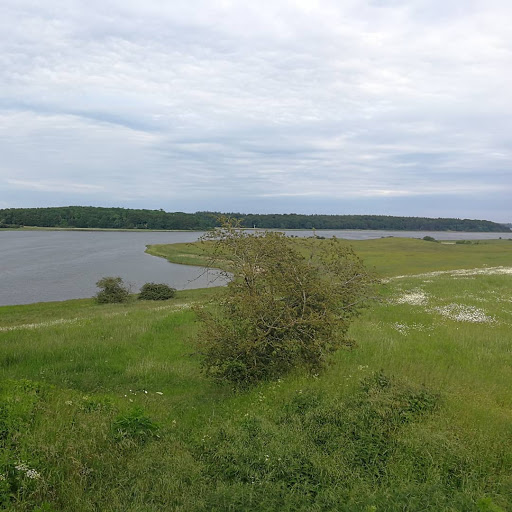 Uglekrogen