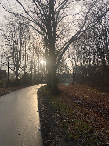 Vestvolden