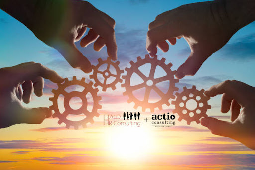 ACTIO Consulting ApS