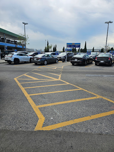 Alamo - return park for rent-a-car