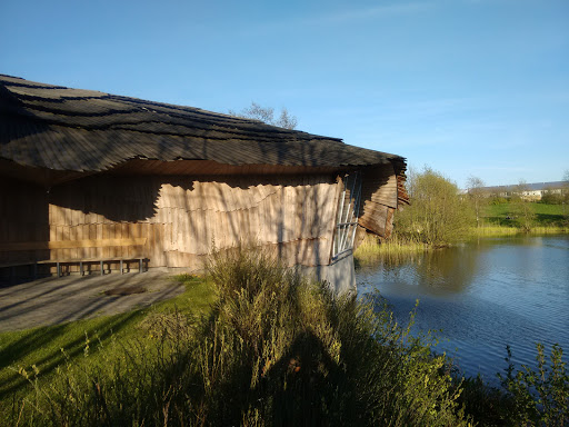 Andelsboligforeningen Vingebo