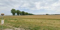 Billesborgskolen (Billesborgvej)