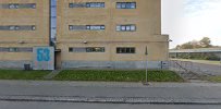 Boligselskabet Dfb Ørnegårdsvej