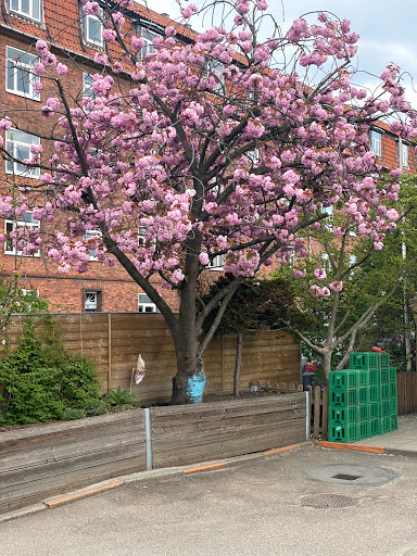 Børnehuset SAFA