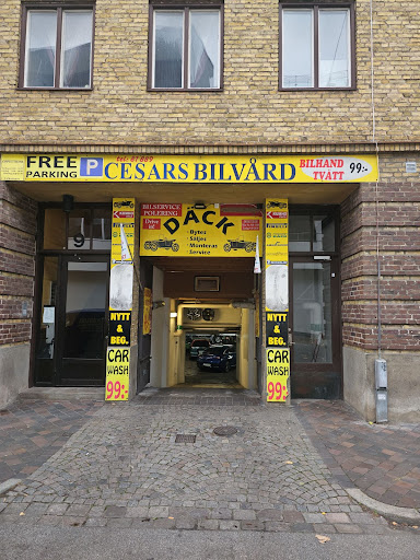 Cesars bilvård &amp; däck