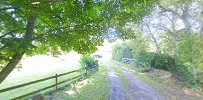 Country Home