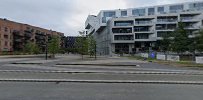 Den Frie Fakkel