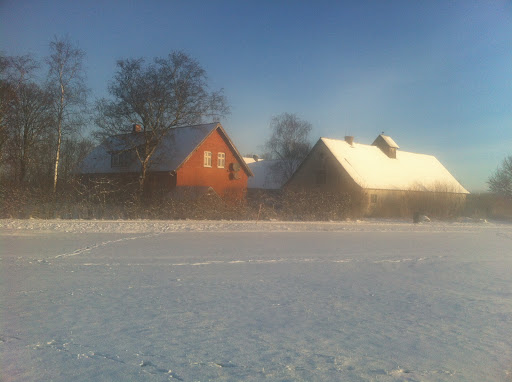 Fulby hjortefarm
