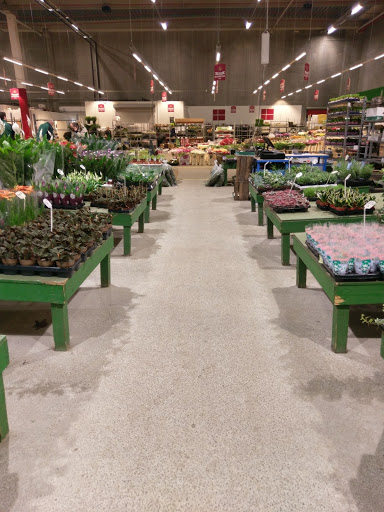 Grønttorvet (Copenhagen Markets)