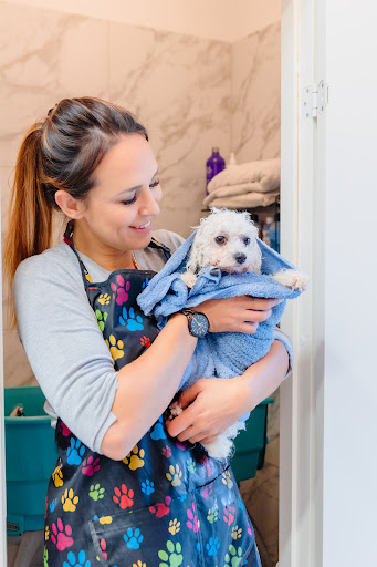 Happy Dog Hundesalon