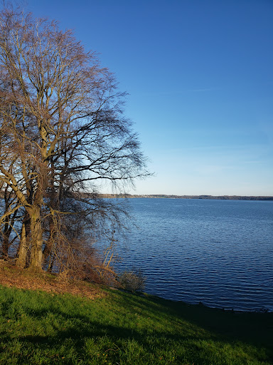 Høje Klint