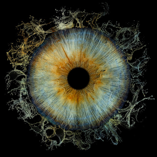 Iris Galerie