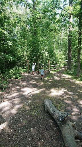 Junglestien (legeplads)