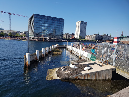 Kulturhavn Festival