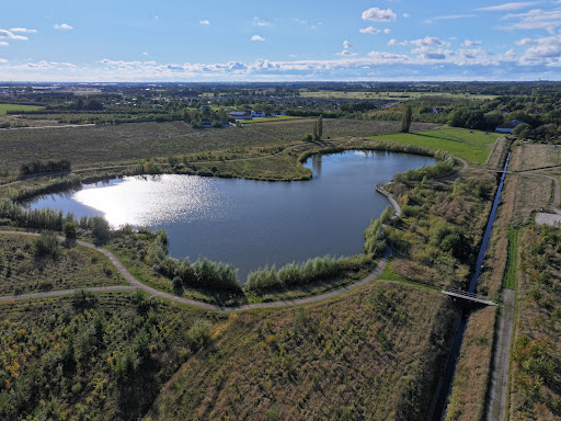 Landsby skov