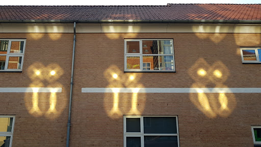 Light Images