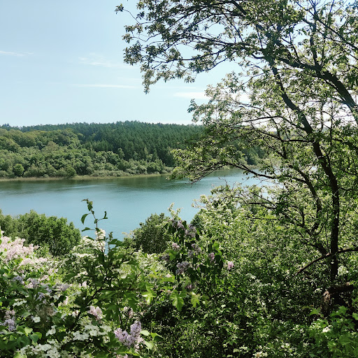 Maglesø