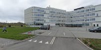 Meniere &amp; Tinnitus Fonden