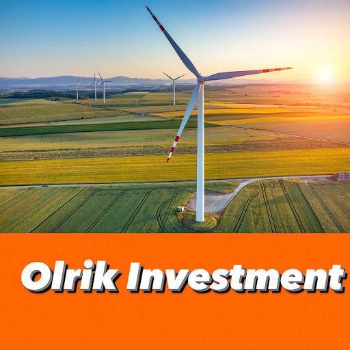 OLRIK INVESTMENT