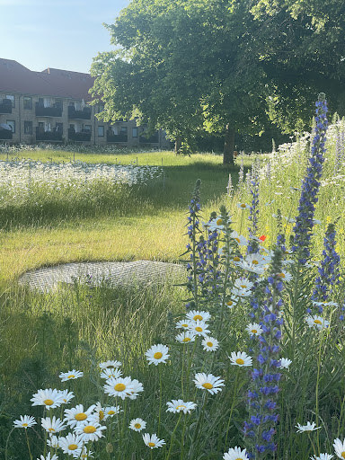 Olufsgård 2 A
