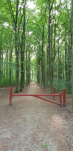 Parkering, Brøndbyskoven Nord
