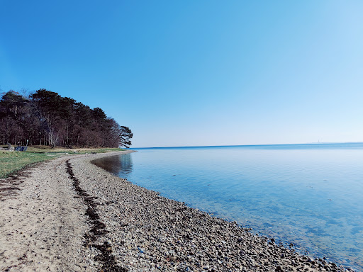 Parkering ved strand